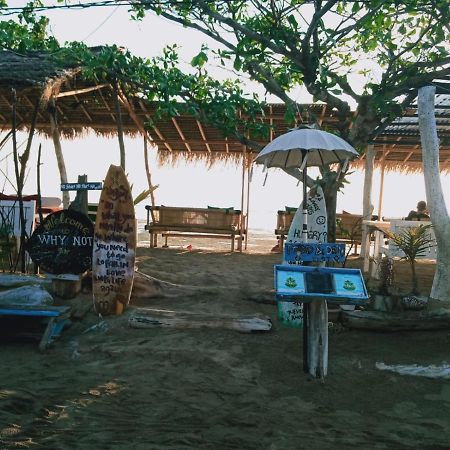 Why Not Bar And Bungalows #2 Pemenang Luaran gambar